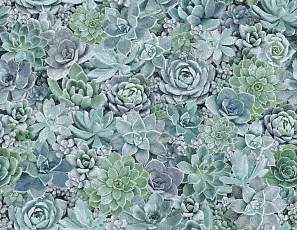 Ковролин Halbmond Pure Elements 13840 фото 1 | FLOORDEALER