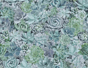 Halbmond Pure Elements 13840 фото 1 | FLOORDEALER