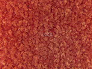 Balsan Bolero 485 фото 2 | FLOORDEALER