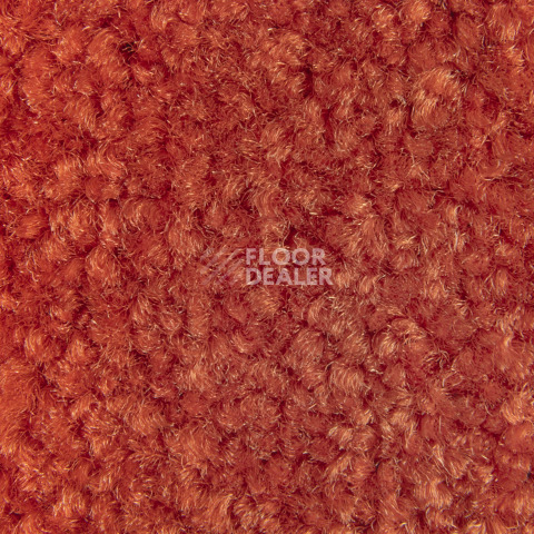 Balsan Bolero 485 фото 2 | FLOORDEALER