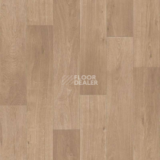 Линолеум Tarkett Sprint Pro Basel 1 фото 1 | FLOORDEALER