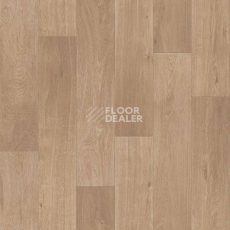 Линолеум Tarkett Sprint Pro Basel 1 фото 1 | FLOORDEALER