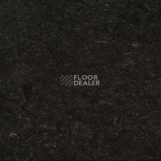 Линолеум Gerflor Marmorette AcousticPlus DLW 2121-096 фото 1 | FLOORDEALER