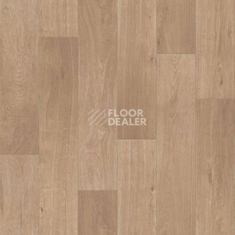 Линолеум Tarkett Sprint Pro Basel 1 фото 1 | FLOORDEALER