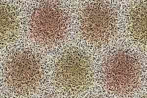 Ковролин Flotex by Mac Stopa 360002 f Fur Warm фото  | FLOORDEALER