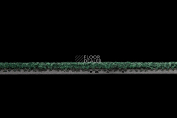 Standard Carpets Spectrum sm 566 фото 4 | FLOORDEALER