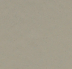 Линолеум Forbo SureStep balance 173232 fossil фото 1 | FLOORDEALER