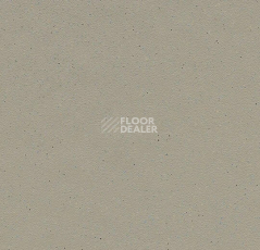 Линолеум Forbo SureStep balance 173232 fossil фото 1 | FLOORDEALER