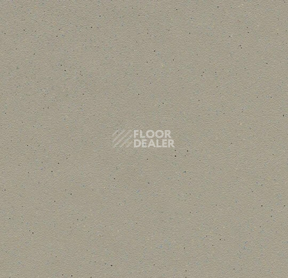 Линолеум Forbo SureStep balance 173232 fossil фото 1 | FLOORDEALER