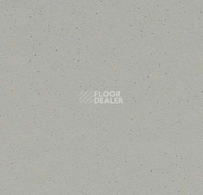 Линолеум Forbo SureStep balance 173482 greige фото 1 | FLOORDEALER