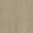 Линолеум Forbo SureStep  Fast Fit 618802 elegant oak  | FLOORDEALER