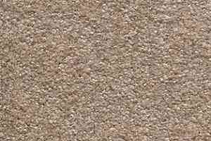 Ковролин AW Invictus Scorpius 33 фото  | FLOORDEALER