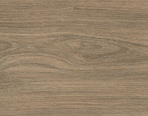 Ламинат Haro Tritty 100 4V Вяз Варио 544720 фото 1 | FLOORDEALER