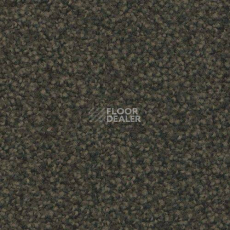 Ковровая плитка Forbo Sharepoint 1156 фото 1 | FLOORDEALER