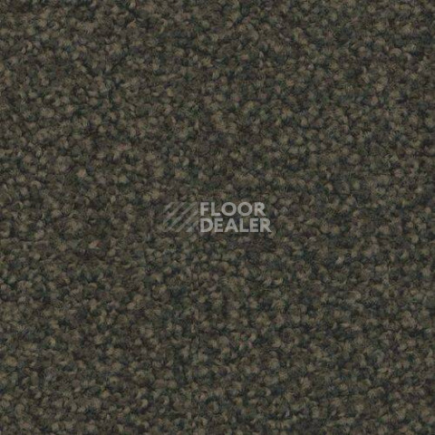 Ковровая плитка Forbo Sharepoint 1156 фото 1 | FLOORDEALER