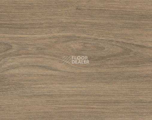 Ламинат Haro Tritty 100 4V Вяз Варио 544720 фото 1 | FLOORDEALER