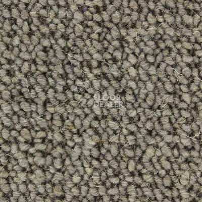 Ковролин Edel Lawrence 169 фото 1 | FLOORDEALER