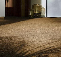 Vorwerk Exclusive1009/Elara 2d91 фото 5 | FLOORDEALER