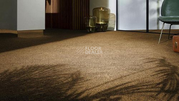 Vorwerk Exclusive1009/Elara 2d91 фото 5 | FLOORDEALER