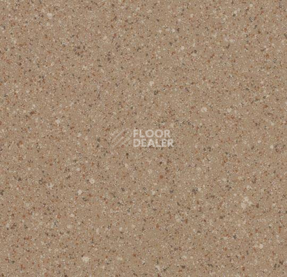 Линолеум Forbo Eternal Original 61622 фото 1 | FLOORDEALER