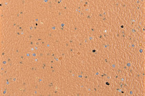 Forbo SureStep balance 173952 blush фото 3 | FLOORDEALER