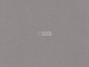 Линолеум Polyflor Polysafe QuickLay Pur 624850 фото 1 | FLOORDEALER