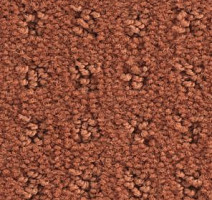 Ковролин Balsan Patio Patio 455 фото 1 | FLOORDEALER