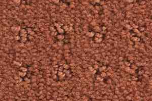 Ковролин Balsan Patio Patio 455 фото  | FLOORDEALER