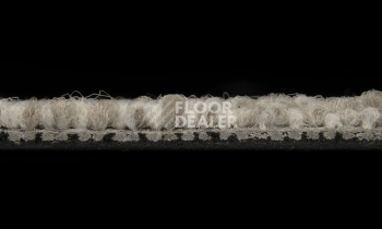 Balsan Desert 710 фото 4 | FLOORDEALER