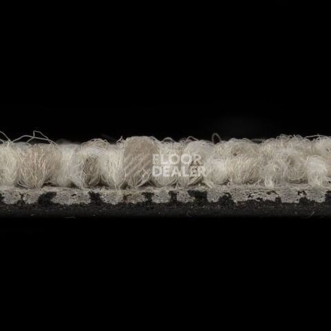 Balsan Desert 710 фото 4 | FLOORDEALER