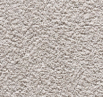 Ковролин Balta Pure Delight Pure Delight 0905 фото 1 | FLOORDEALER