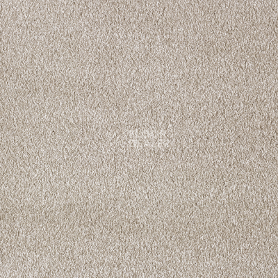 Ковролин AW Secret 39 фото 1 | FLOORDEALER