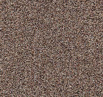 Ковролин Balta ITC Sirious 48 фото 1 | FLOORDEALER