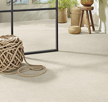 Vorwerk Superior 1065/Viola Vorwerk 6c71 фото 2 | FLOORDEALER