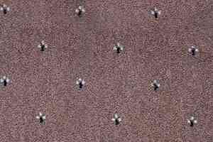 Ковролин Balta ITC Palace New 49 фото  | FLOORDEALER