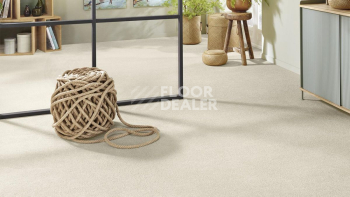 Vorwerk Superior 1065/Viola Vorwerk 6c71 фото 2 | FLOORDEALER