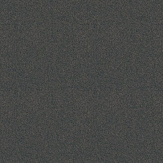 Ковролин Haima Lounge x 4455 фото 1 | FLOORDEALER