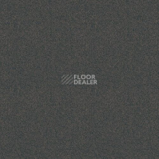 Ковролин Haima Lounge x 4455 фото 1 | FLOORDEALER