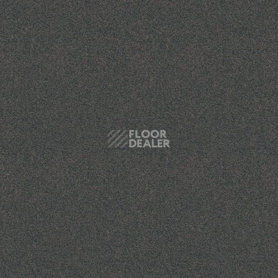 Ковролин Haima Lounge x 4455 фото 1 | FLOORDEALER