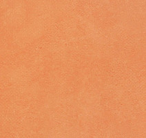 Линолеум Forbo Emerald Standart 72404 фото 1 | FLOORDEALER