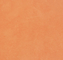 Линолеум Forbo Emerald Standart 72404 фото 1 | FLOORDEALER