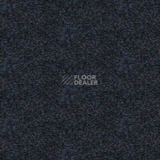 Ковролин Tapibel Spirit 8891 фото 1 | FLOORDEALER