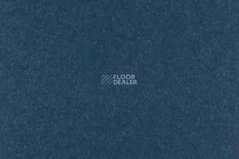 Forbo Marmoleum Solid Walton 3358-335835 petrol фото 1 | FLOORDEALER