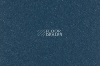 Линолеум Forbo Marmoleum Solid Walton 3358-335835 petrol фото 1 | FLOORDEALER