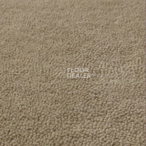 Ковролин Jacaranda Carpets Sambar Taupe фото 1 | FLOORDEALER