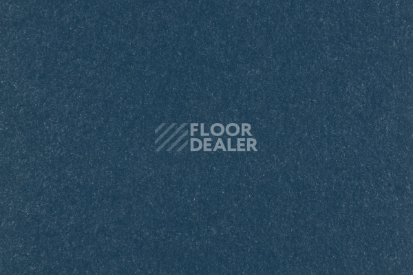 Линолеум Forbo Marmoleum Solid Walton 3358-335835 petrol фото 1 | FLOORDEALER