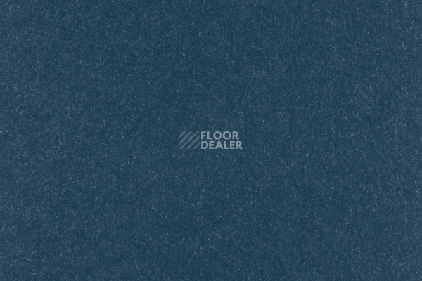 Линолеум Forbo Marmoleum Solid Walton 3358-335835 petrol фото 1 | FLOORDEALER