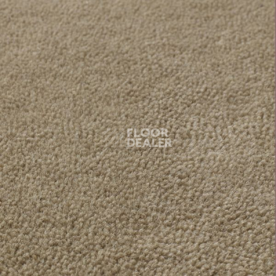 Ковролин Jacaranda Carpets Sambar Taupe фото 1 | FLOORDEALER