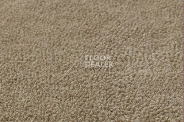 Ковролин Jacaranda Carpets Sambar Taupe фото 1 | FLOORDEALER