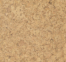 Cork Go GB06002   Ambition фото 2 | FLOORDEALER